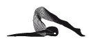 Entrenadora personal de mujeres